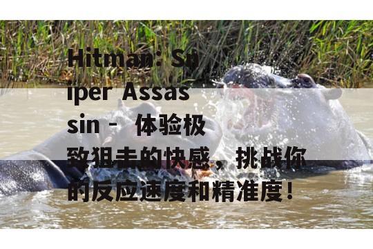 Hitman: Sniper Assassin -  体验极致狙击的快感，挑战你的反应速度和精准度！